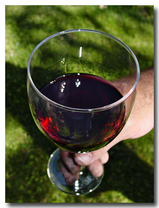 A Toast To You!