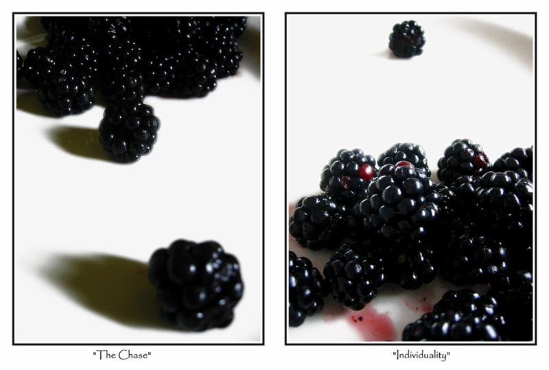Berries as Society