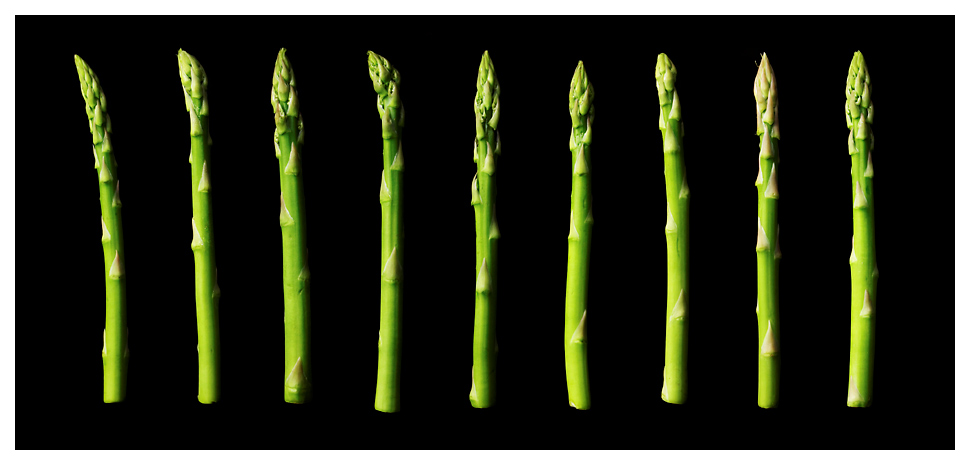 Art of Asparagus *