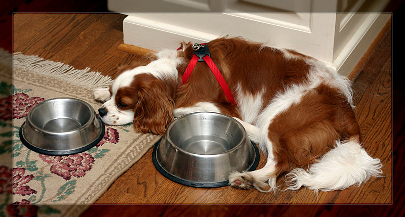 <b>Whens Supper?</b>
