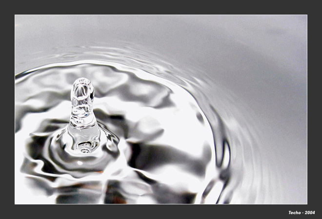 Fourth Place - H2O*