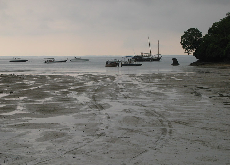 They know where to park em to survive low tide*