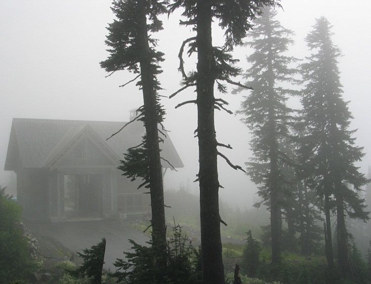In the fog (*)