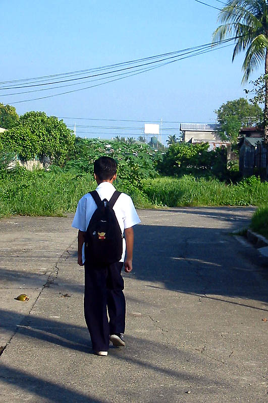 The Way to Knowledge *