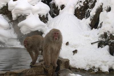 CRW_8407.jpg