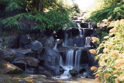 Van Dussen Gardens 01.jpg