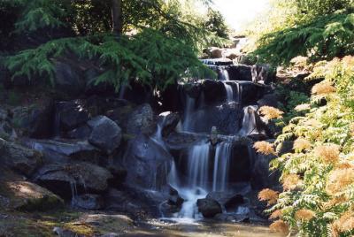 Van Dussen Gardens 02.jpg