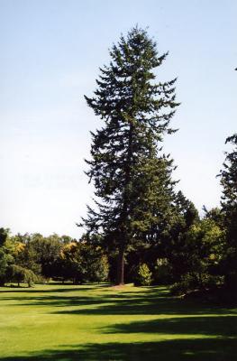Van Dussen Gardens 03.jpg