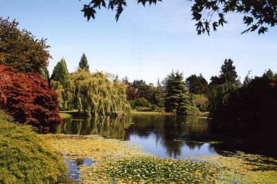 Van Dussen Gardens 05.jpg