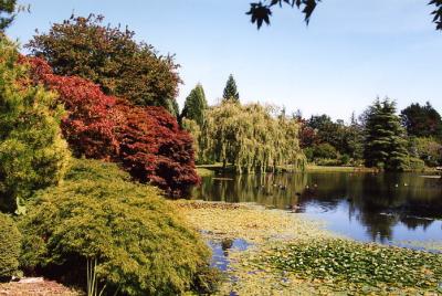 Van Dussen Gardens 06.jpg