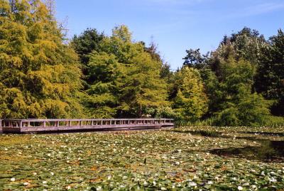 Van Dussen Gardens 11.jpg