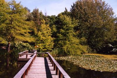 Van Dussen Gardens 13.jpg