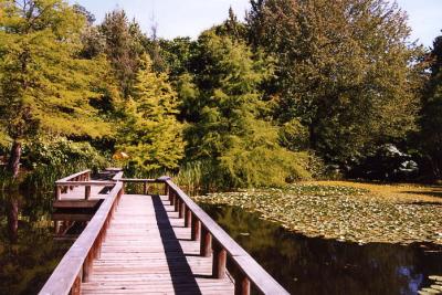 Van Dussen Gardens 14.jpg