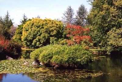 Van Dussen Gardens 15.jpg