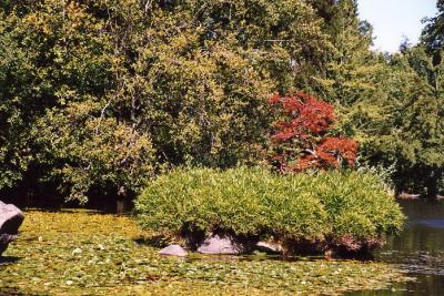 Van Dussen Gardens 18.jpg