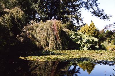 Van Dussen Gardens 21.jpg