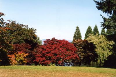 Van Dussen Gardens 23.jpg