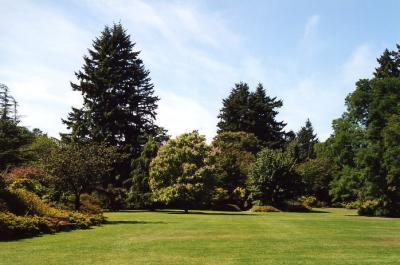 Van Dussen Gardens 26.jpg