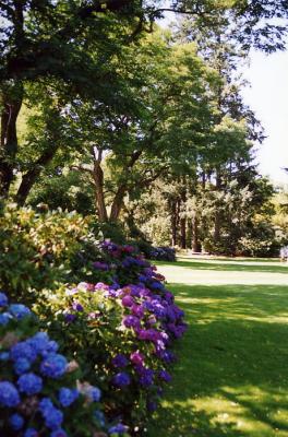 Van Dussen Gardens 29.jpg