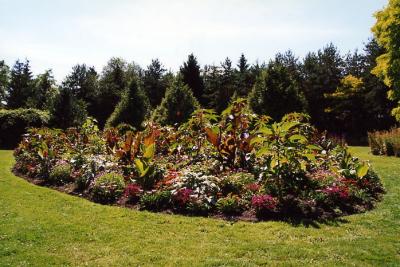 Van Dussen Gardens 35.jpg