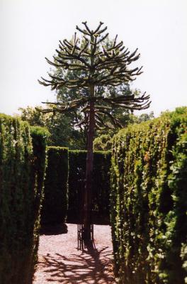 Van Dussen Gardens 39.jpg