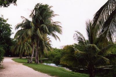 Grand Cayman 02.jpg