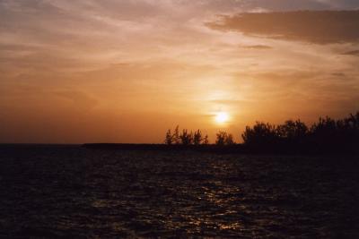 Grand Cayman 35.jpg