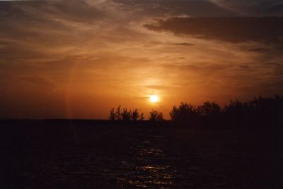Grand Cayman 36.jpg