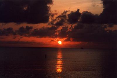 Grand Cayman 39.jpg