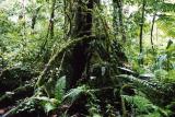 Costa Rica 21.jpg