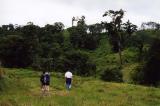 Costa Rica 24.jpg