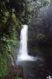 Costa Rica 25.jpg