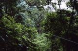 Costa Rica 33.jpg