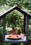 Costa Rica 52.jpg