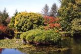 Van Dussen Gardens 15.jpg