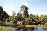 Van Dussen Gardens 16.jpg