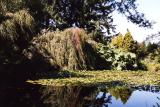 Van Dussen Gardens 21.jpg