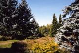 Van Dussen Gardens 22.jpg