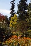 Van Dussen Gardens 31.jpg
