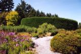 Van Dussen Gardens 32.jpg
