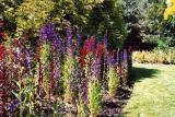 Van Dussen Gardens 33.jpg