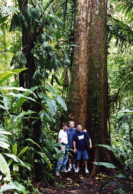Costa Rica 20.jpg