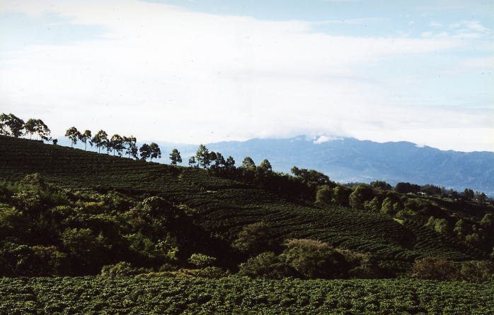 Costa Rica 41.jpg