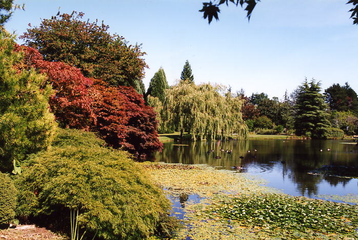 Van Dussen Gardens 06.jpg