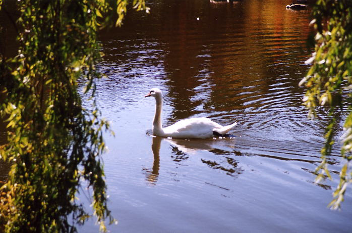 Van Dussen Gardens 10.jpg