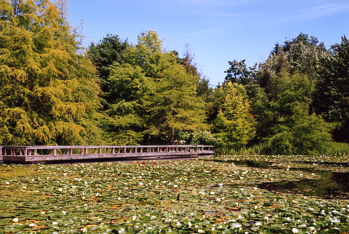 Van Dussen Gardens 11.jpg