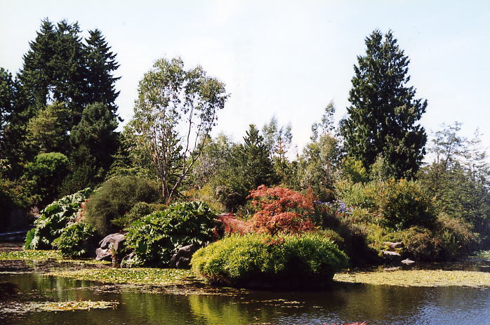 Van Dussen Gardens 17.jpg