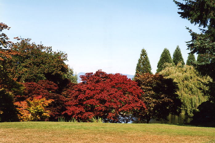 Van Dussen Gardens 23.jpg