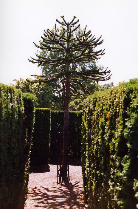 Van Dussen Gardens 39.jpg