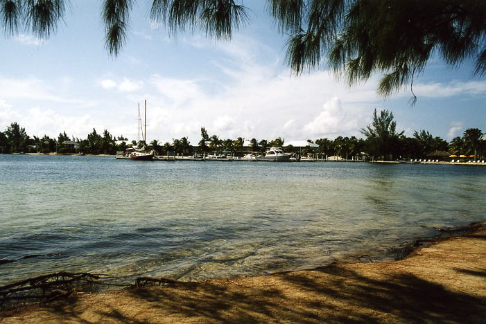 Grand Cayman 14.jpg